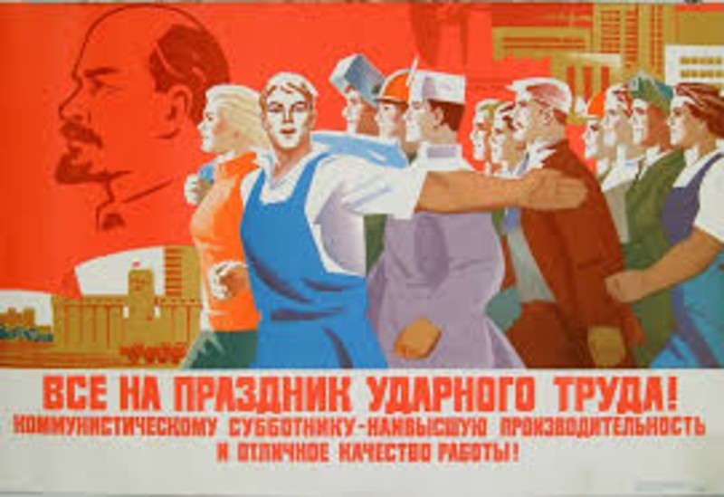 20 Day Shock Working